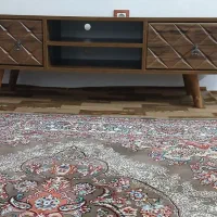 زیر تلویزیون در حد نوع