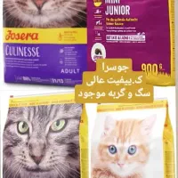 پت شاپ آنلاین