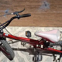 دوچرخه سایز ۲۰|دوچرخه، اسکیت، اسکوتر|فردیس, منظریه|دیوار