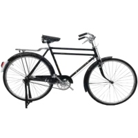 دوچرخه چینی