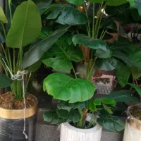 سه تنه درخچه|گل مصنوعی|تهران, مشیریه|دیوار