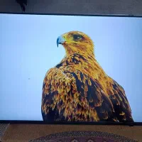تلوزیونLED سامسونگ هوشمند کیفیت4K55اینچ|تلویزیون و پروژکتور|زاهدان, |دیوار