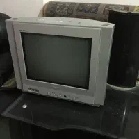 تلویزیون|تلویزیون و پروژکتور|بوشهر, |دیوار