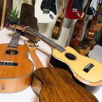 افرا گیتار ارزان|گیتار، بیس، امپلیفایر|گلبهار, شهر جدید گلبهار|دیوار