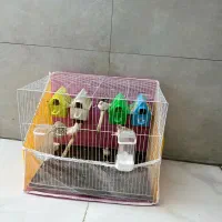 فنچ جفت کار داده