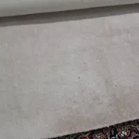 پالاز موکت