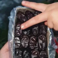 خرما مضافتی جهت مجالس|خوردنی و آشامیدنی|شیراز, بازار|دیوار