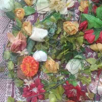 گلهای تمیز سالم|گل مصنوعی|مشهد, طلاب|دیوار