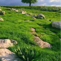 مشورت برای تنهایی