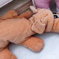 سه تا عروسک سالم|اسباب‌بازی بچه|سهند, |دیوار