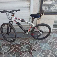 دوچرخه ویوا اصل تایوان