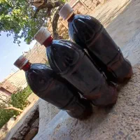 آبغوره|خوردنی و آشامیدنی|شاهرود, |دیوار