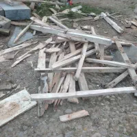 فروش چوب هیزمی