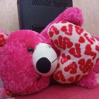 کابینت|عمدهفروشی|زاغه, |دیوار