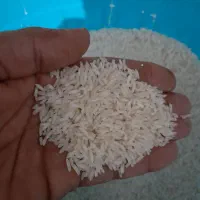 فروش برنج هاشمی