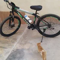 دوچرخه ویوا در حد|دوچرخه، اسکیت، اسکوتر|زرندیه, |دیوار