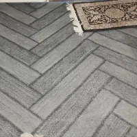 موکت