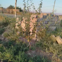 زمین کشاورزی به متراژ۱۲۶۰مترباپروانه کشاورزی|فروش زمین و ملک کلنگی|عجب شیر, |دیوار
