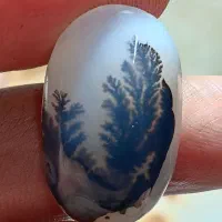 نگین شجرقائن|زیورآلات و اکسسوری|تربتحیدریه, طالقانی|دیوار