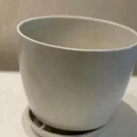 گلدان سفال مشکی ،پلاستیک فشرده سفید،شیشه ای|گل و گیاه طبیعی|تهران, پاسداران|دیوار