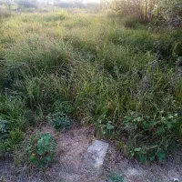 حراج زمین مسکونی|حراج|رشت, لاکان شهر|دیوار