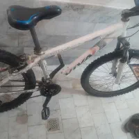 دوچرخه ویوا فروش فوری