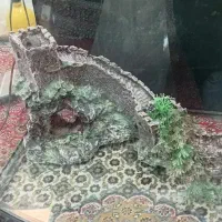آکواریوم شرکتی