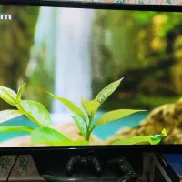 تلویزیون|تلویزیون و پروژکتور|یاسوج, |دیوار