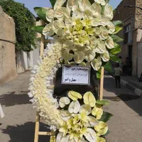 تاج گل دسته گل  سبد جام باکس گل مناسب همه مراسم ها|گل و گیاه طبیعی|تهران, شهرک محلاتی|دیوار