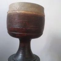 زرب گردو