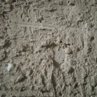 زمین حسین آباد قبله