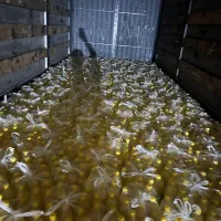 آبلیمو طبیعی و شرکتی