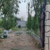 باغ و باغچه در قاسم اباد بزرگ خیابان ارکیده ۱۰|فروش خانه و ویلا|هشتگرد, قاسم آباد بزرگ|دیوار