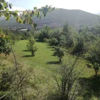 باغ-گردو-و-فندوق-کندلوس