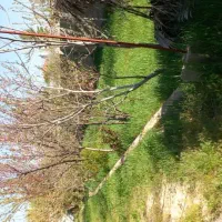 باغ 100متری در دالین|اجارهٔ خانه و ویلا|همایجان, |دیوار