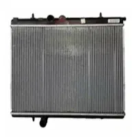 رادیات ۲۰۶ است دی