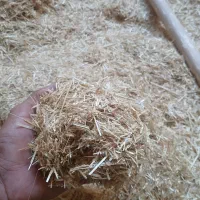 کاه گندم دیم|لوازم جانبی حیوانات|بیرانوند, |دیوار