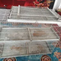 قفس جوجه پران با قفس سگ