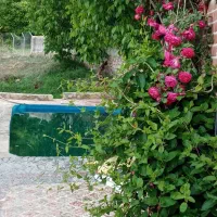 اجاره کوتاه مدت باغ ویلا دو خوابه