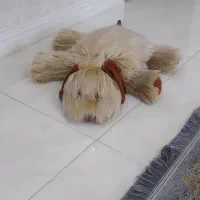 عروسک درحدنو