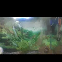 اکواریوم و وسایل