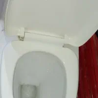 توالت فرنگی