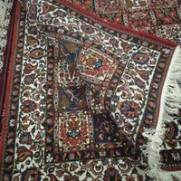 قالی دست بافت|فرش|شهرکرد, |دیوار