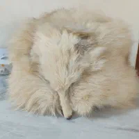 کلاه روسی (کت پوست)|لباس|پرند, فاز ۴|دیوار