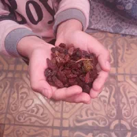 کشمش‌افتابی‌بدون‌هسته