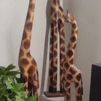 سه عدد زرافه