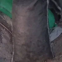 سلنک خشک خشک|لوازم جانبی حیوانات|میناب, |دیوار