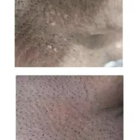 کارشناس/زیگیل