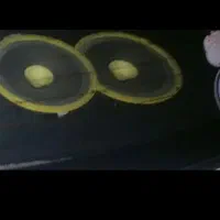 میدرنج ۸ مکسیدر