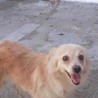 فروش به علت جابه جایی